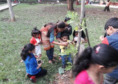 The Sparrows,The sparrows in bangalore,best preschool in hanumantha nagar,best playgroup in hanumantha nagar,best daycare in hanumantha nagar,best nursery in hanumantha nagar,best activity center in hanumantha nagar,best after school care in hanumantha nagar,best playschool in hanumantha nagar,best preschool in Varsharuthu road,best preschool in Kempegowda nagar, best preschool in gavipuram,top 10 preschool in hanumantha nagar,top 10 preschool in bangalore,thesparrows,sowing seeds,the sparrows preschool.